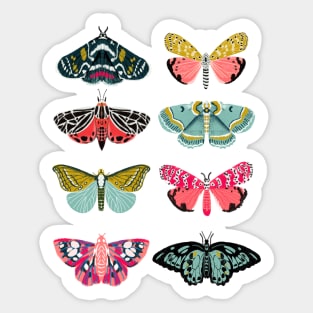 Lepidoptery No.1 - Moth Study Sticker